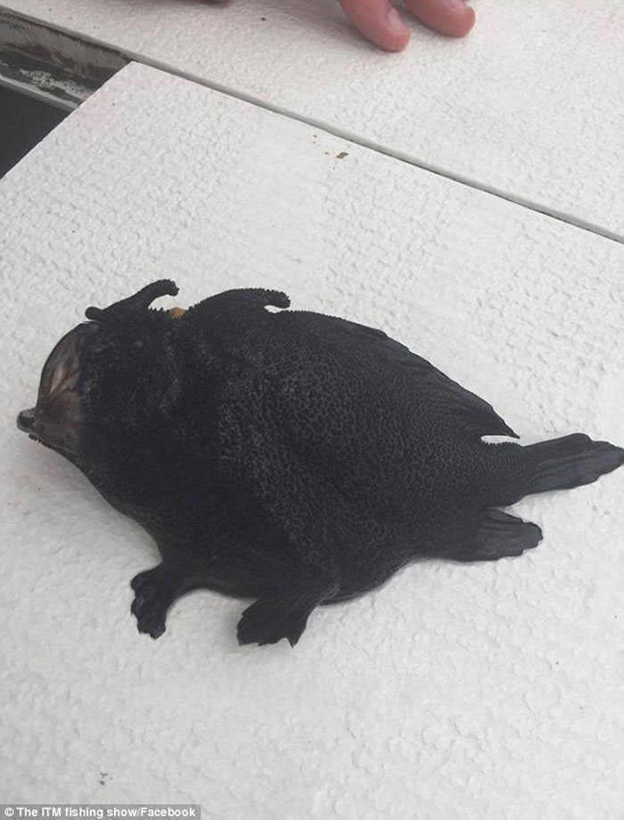 �����������֡��ܡ��㡢������һ���� ����������