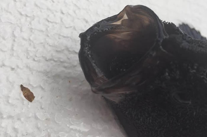 ���������൱��