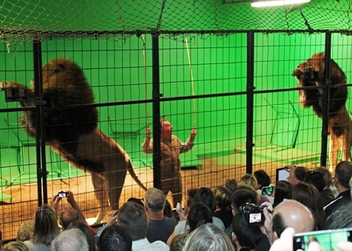 ��ѱ��ʦ�������ϵ���������ʱ��ʨ�ӱ������ǰ�ȡ�