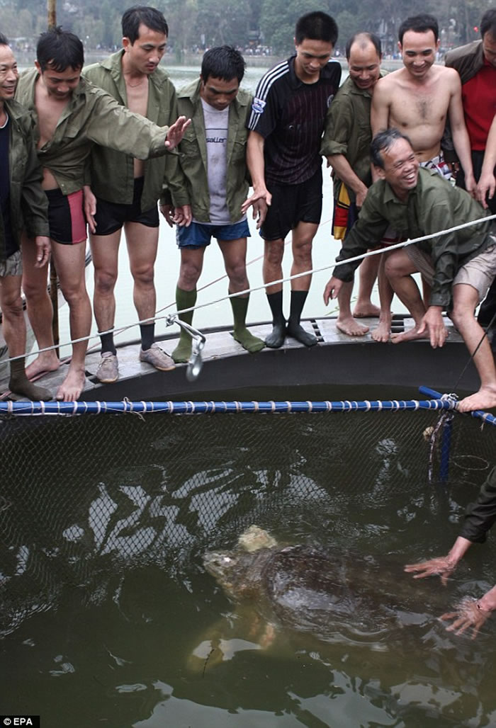 越南120岁斑鳖去世,相传借剑助建国