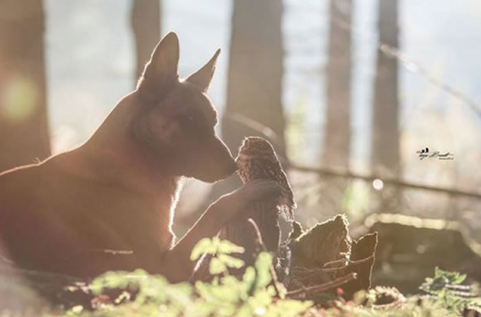 这也太唯美了,是在拍偶像剧吗。