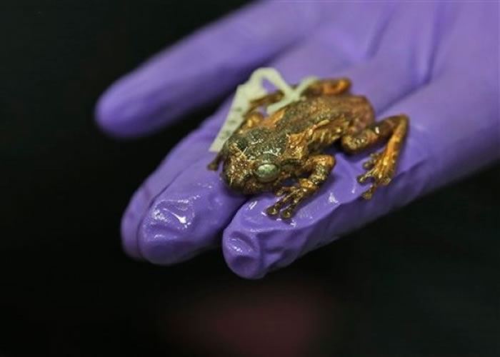 �о���Աչʾ�·��ֵ�����