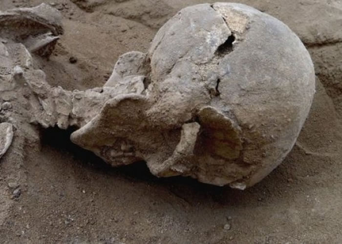 部份尸骸的头骨裂开