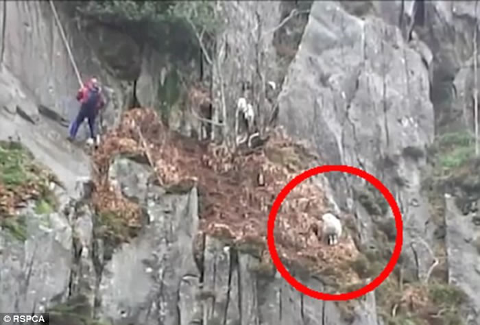 Ӣ��������ɽ���վ����Ҽ����������� ��ԮС�鶥�ű���ѩ��֮�ȳ�