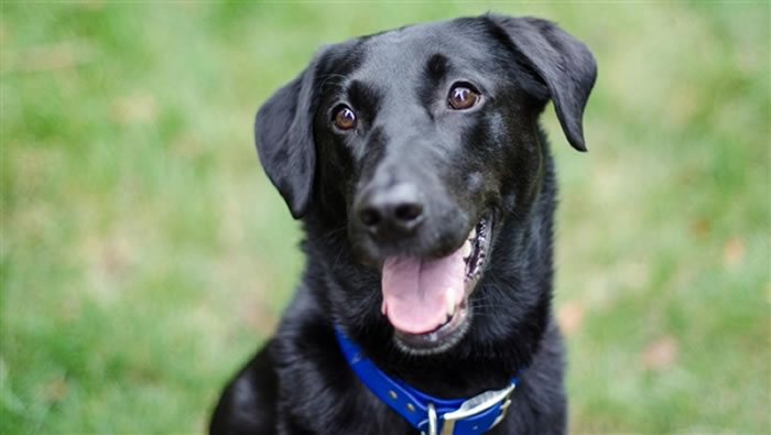 Ϊʲô�������ܳ��ɿ�����ԭ�����ڿɿɼ�