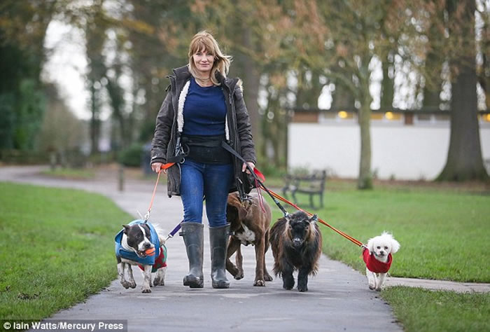 �и㲻���״�������ڻ��ʴ��������׺ز����ĸ�Ʒ�ֵĹ���