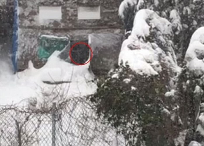 ��ֻ��������Ȧ�����������Ŵ󿪵ĺ�Ժª���