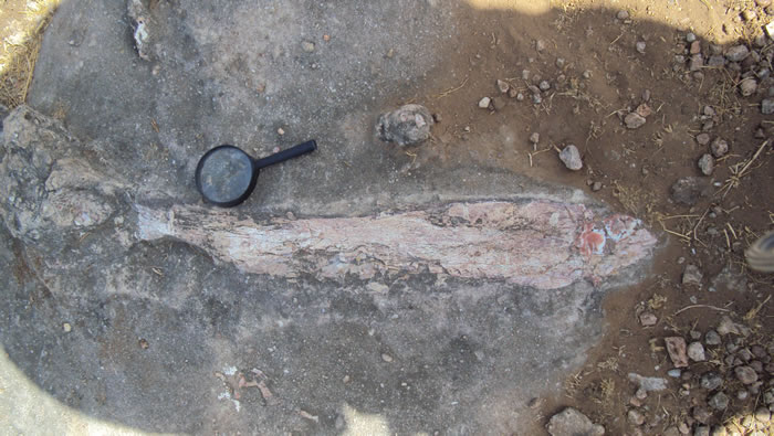 ӡȡ٪޼͹԰żذֶʯ