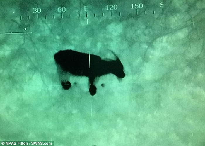 Ӣ��������ɱϿ�ȡ��������ؿ��� ֱ�����Ѿ����˰����ҵ�һֻɽ��