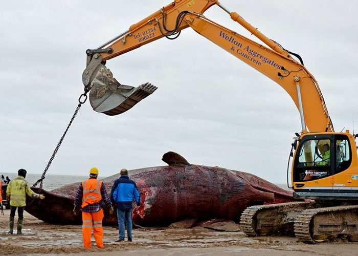 �����Ժ󽫾�ʬ��������������