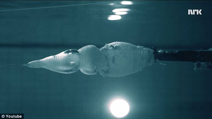 Ų����ѧ��Andreas Wahl�����Ժ� ֤ˮ�п�ǹ�������