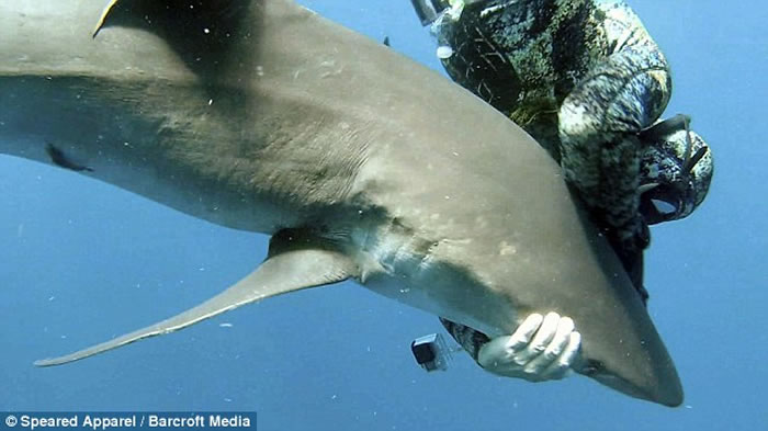 ǱˮԱMichael Dornellas㹳