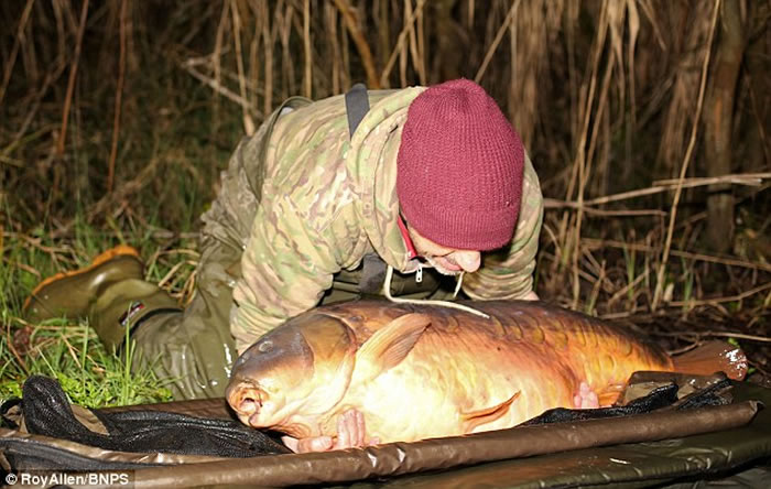 Ӣ������Dean Fletcher����31�������㣬��ȫӢ�������ˮ��