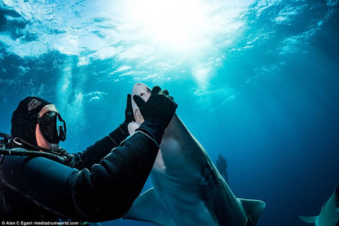 Ӣ��Ǳˮ������Alan Egan����Ϊ�������ߡ� ������뻢���ں������ܽӴ�