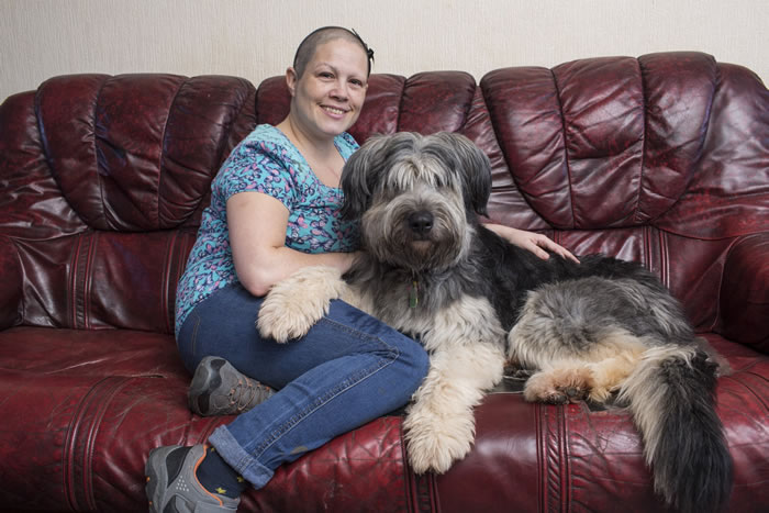 ��ȻPoppy�ǵ�Ƥ�������ǻ��������Լ�û�취�����������ͷ�۵�ë������