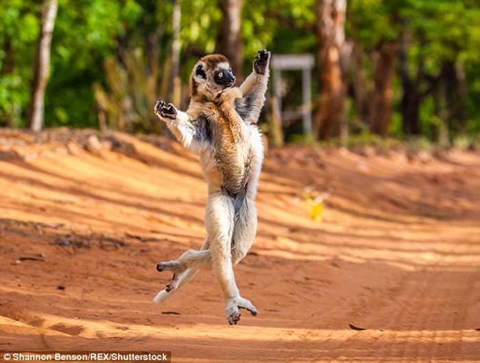 ʵ桶˹ӡҰӰʦShannon BensonĵҰĶȤ