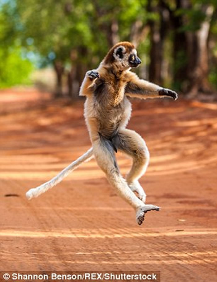 ʵ桶˹ӡҰӰʦShannon BensonĵҰĶȤ