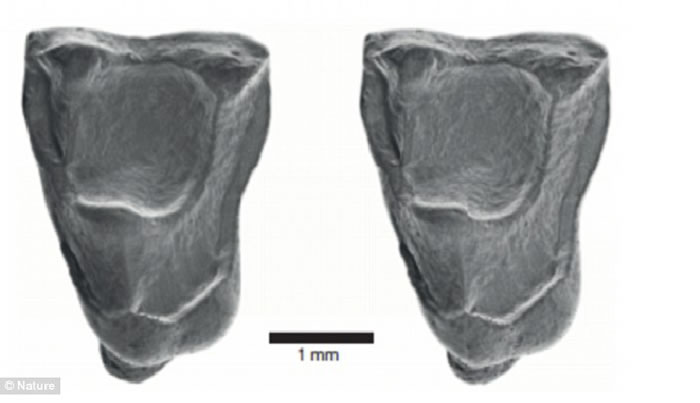 ѷֵַ»ʯ4000ǰľӷ޵ִ