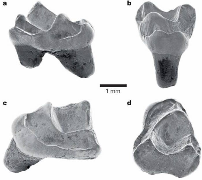 ѷֵַ»ʯ4000ǰľӷ޵ִ