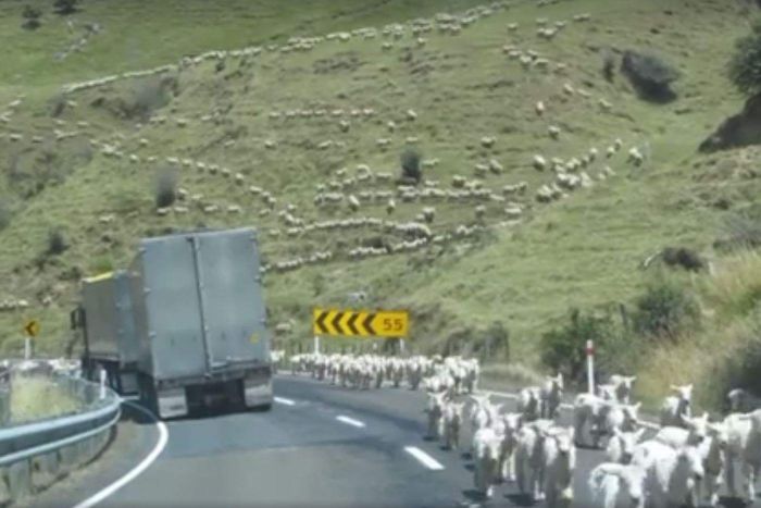 ���ô��ο�������������Ŀ���������ռ�칫·�澰