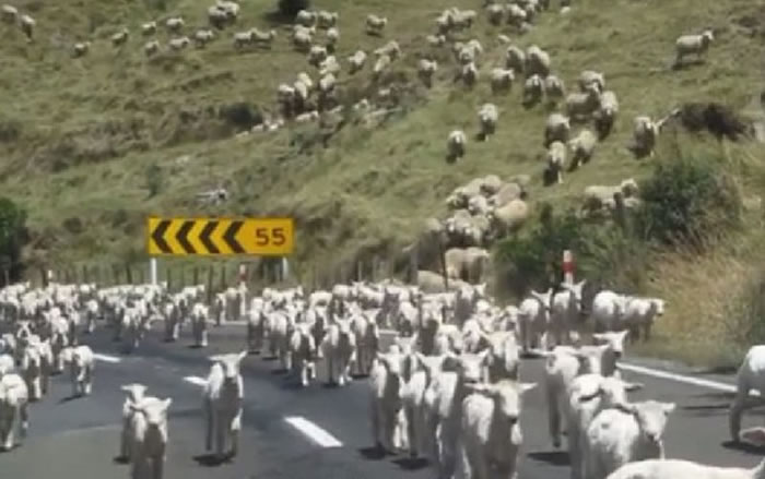 ���ô��ο�������������Ŀ���������ռ�칫·�澰