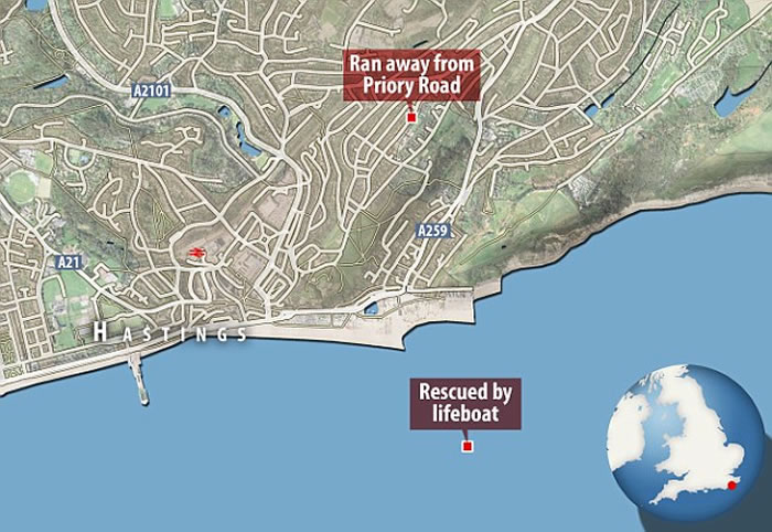 Ӣ��һֻ�¹�����ȮStormΪ׷��Ÿ���º�����1.6����Զ