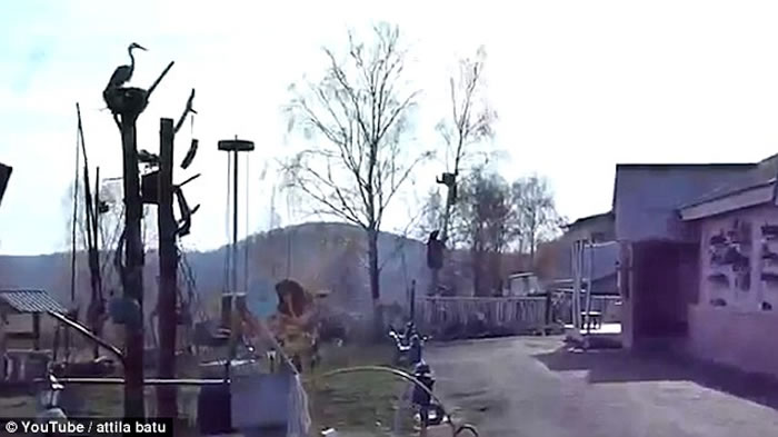 ս������Ҳ�Ż�������˹���ӱ�����׷����