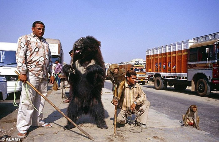 ȫ׷йҰεıָﱻ׬Ǯߡ