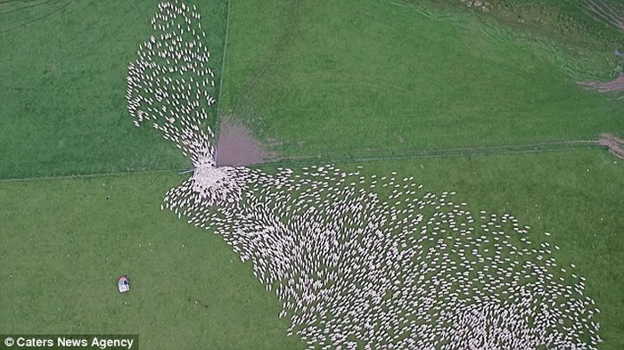 ���������˻��Ӹ߿���������ǧ�������������һĻ