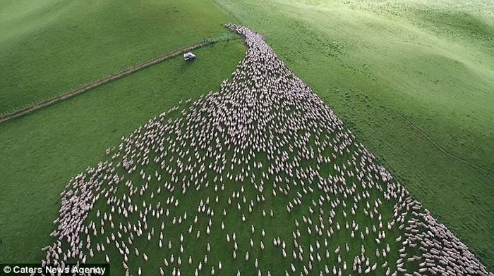 ���������˻��Ӹ߿���������ǧ�������������һĻ