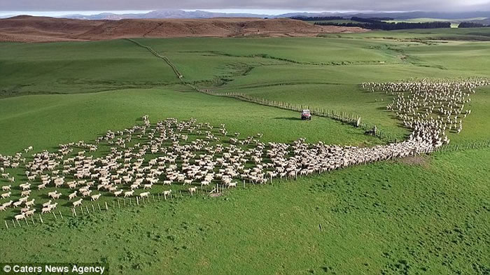 ���������˻��Ӹ߿���������ǧ�������������һĻ