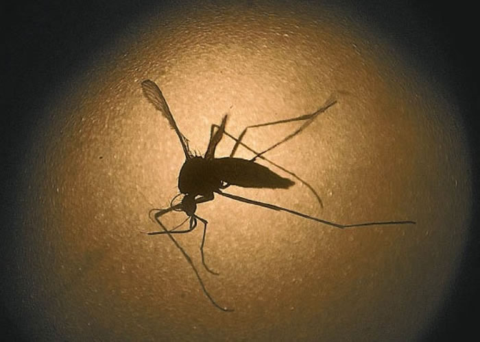 ���������Ǵ���կ����������ҪԪ�ס�����ֲ��������ɳ�ʱ�����ھ�Һ�С�