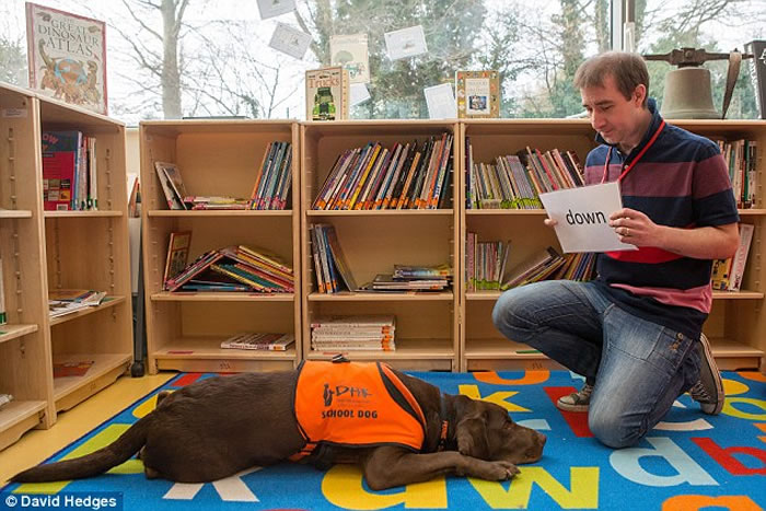 Ӣ��2����������Fernie�ῴ�����ָ��