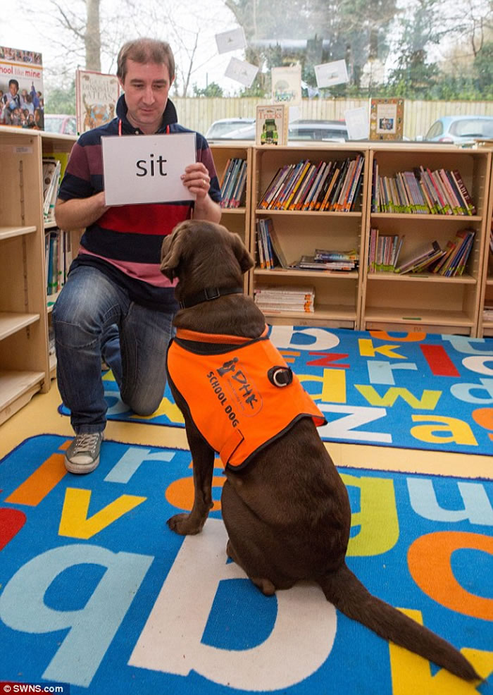 Ӣ��2����������Fernie�ῴ�����ָ��