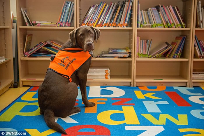 Ӣ��2����������Fernie�ῴ�����ָ��