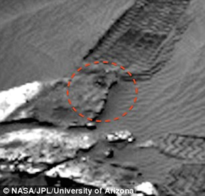 ������ڻ����ĵ�ʯ����л�������ò?