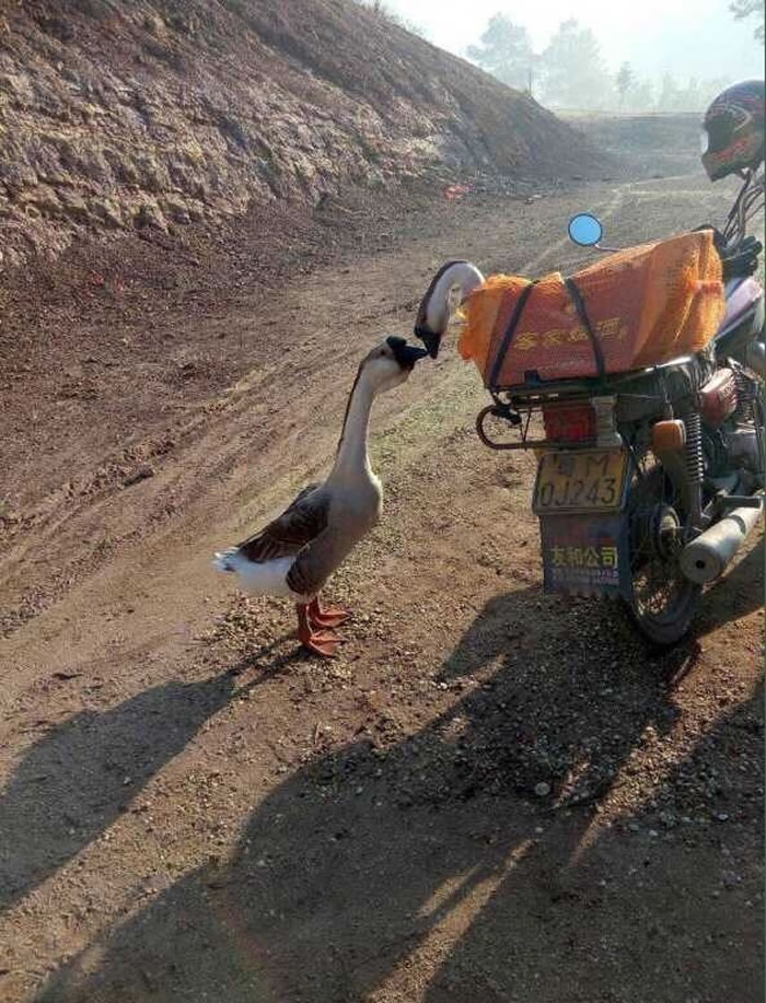 ��÷��������ֻ�����ǰ�����ǡ�������ǧ������ �������˫˫���˲���