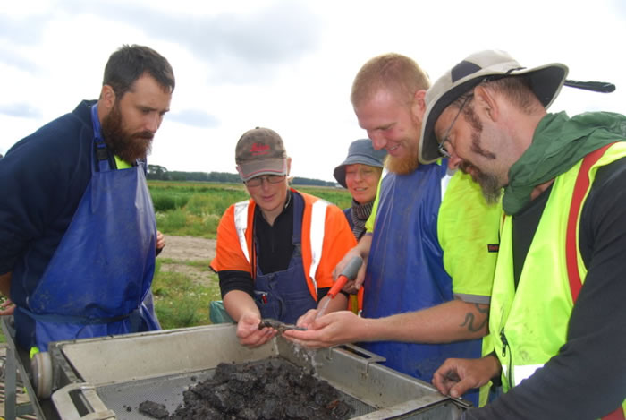 考古队在瑞典诺耶·桑南桑德地区一个远古遗址中发现大量淡水鱼骨骼
