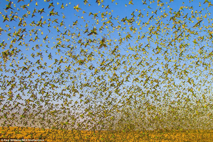 ӢBBCȻʷƵƬ㵽Ĵ½8ֻĹ׳ɫ硱