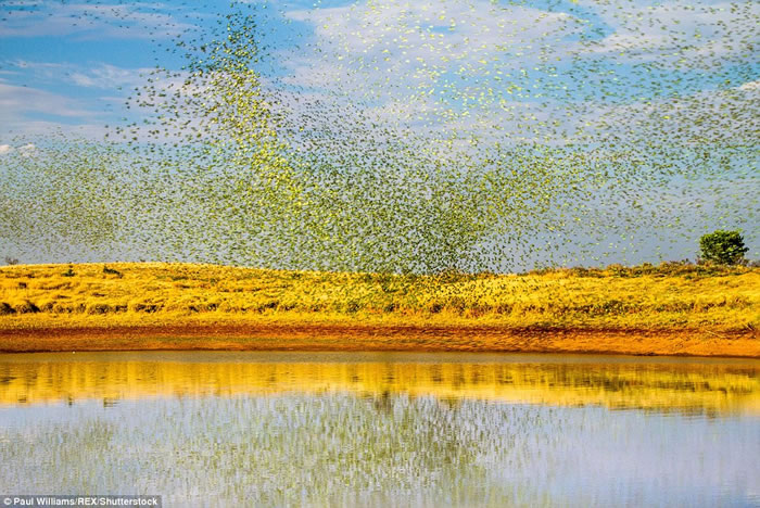 ӢBBCȻʷƵƬ㵽Ĵ½8ֻĹ׳ɫ硱