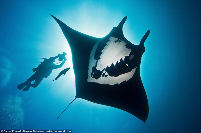 ˮӰʦīǱˮʱĵпͼ