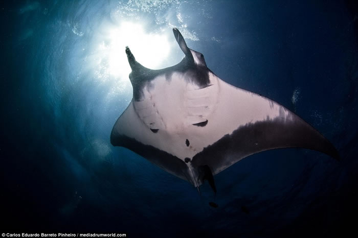 ˮӰʦīǱˮʱĵпͼ