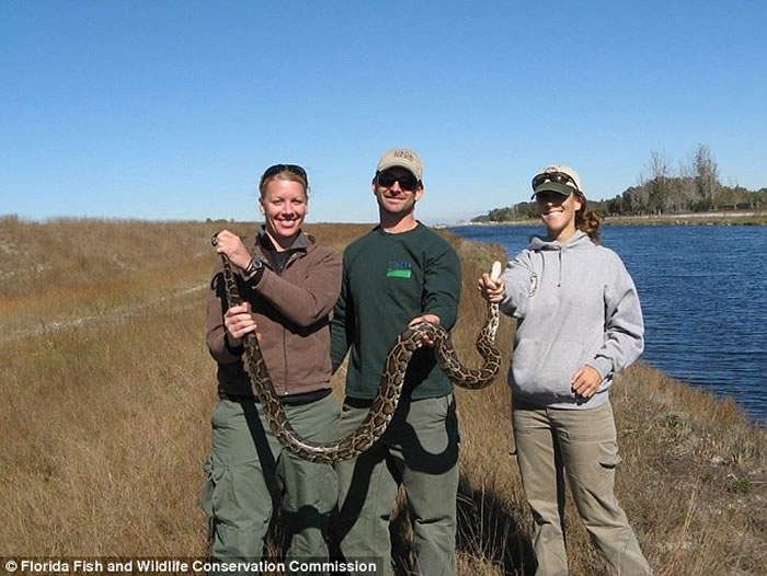 �������������Ϊ��1���µĲ�����ս�������� �����������102��