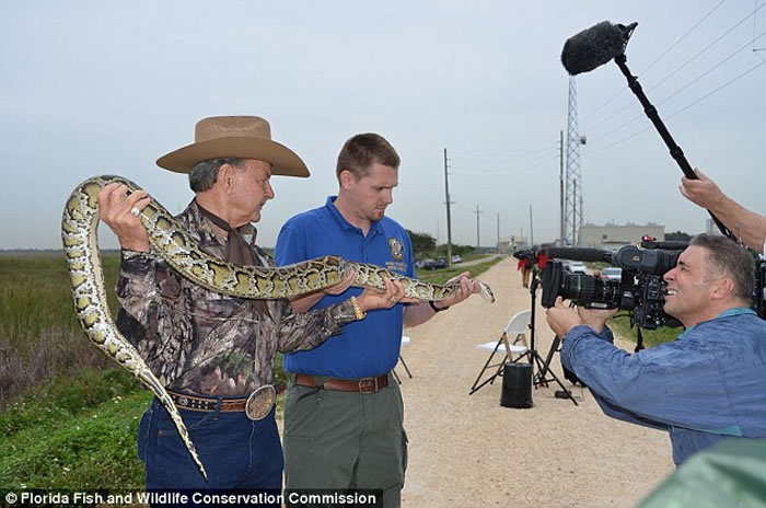 �������������Ϊ��1���µĲ�����ս�������� �����������102��