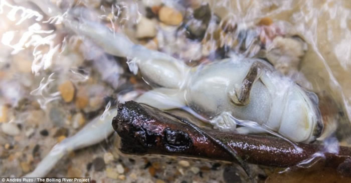 ��ˮ�¶Ƚϸߣ�������������ܿ�ͻᱻ���졣