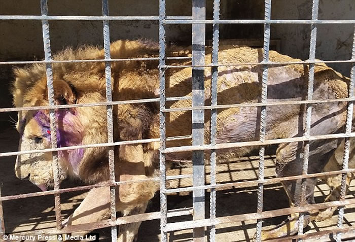 Ҳ�Ŷ���԰���ද�Ｂ�������������ɱ��ʳ��ı������