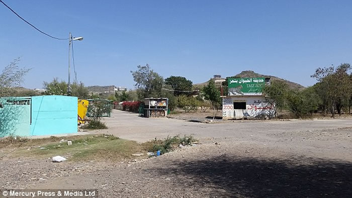 Ҳ�Ŷ���԰���ද�Ｂ�������������ɱ��ʳ��ı������