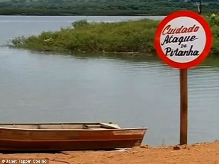 ������������̬��������ʳ���㡪��ˮ���㿪ʼƵ����������