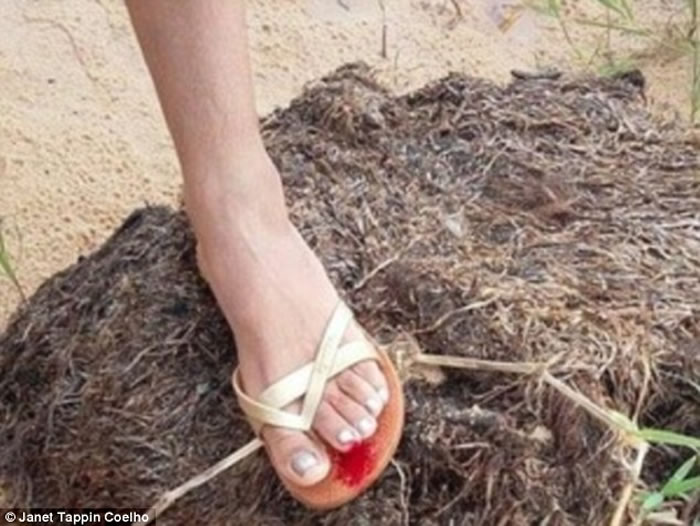 ������������̬��������ʳ���㡪��ˮ���㿪ʼƵ����������