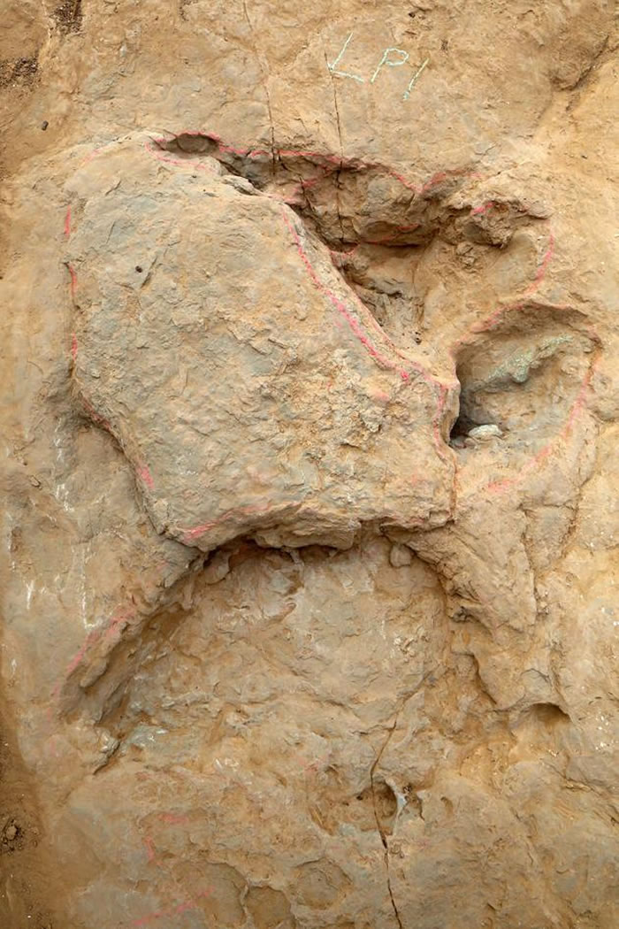 ιϿֻкֺ۵㼣ʵɿڵǴͳΪӾĲ